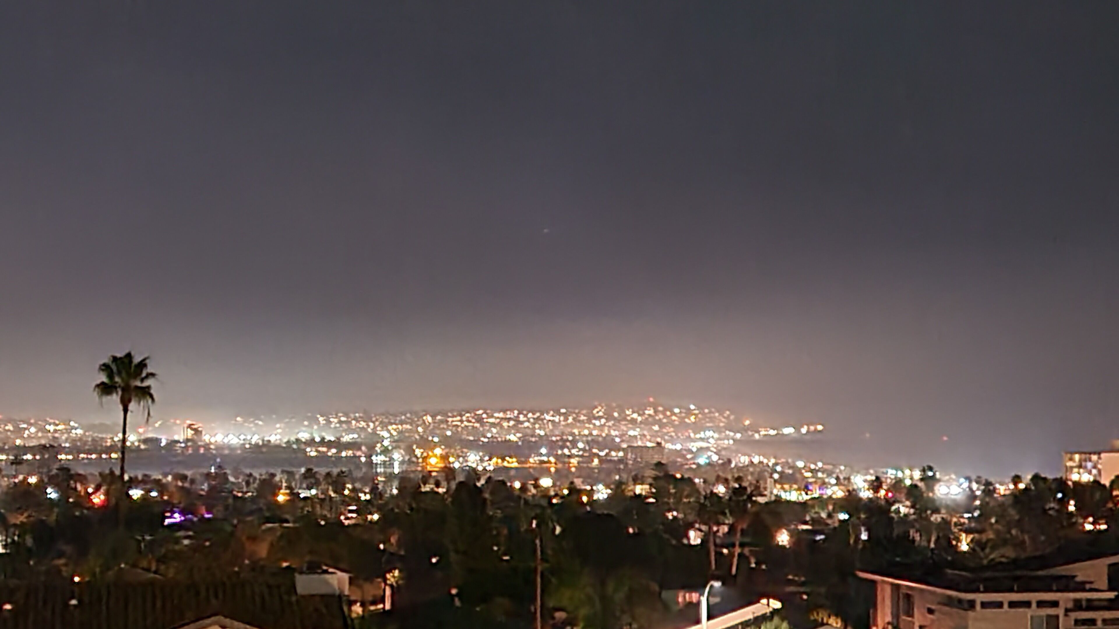 A nighttime cityscape with a dense cluster of illuminated buildings and a palm tree in the foreground.