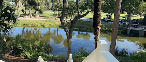 Vista desde una escalera de madera blanca que conduce a un estanque rodeado de árboles, con carritos de golf visibles al fondo.