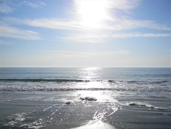 Enjoy a serene beach experience with access to the ocean.