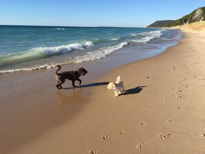 Solsenger og strandhåndklær