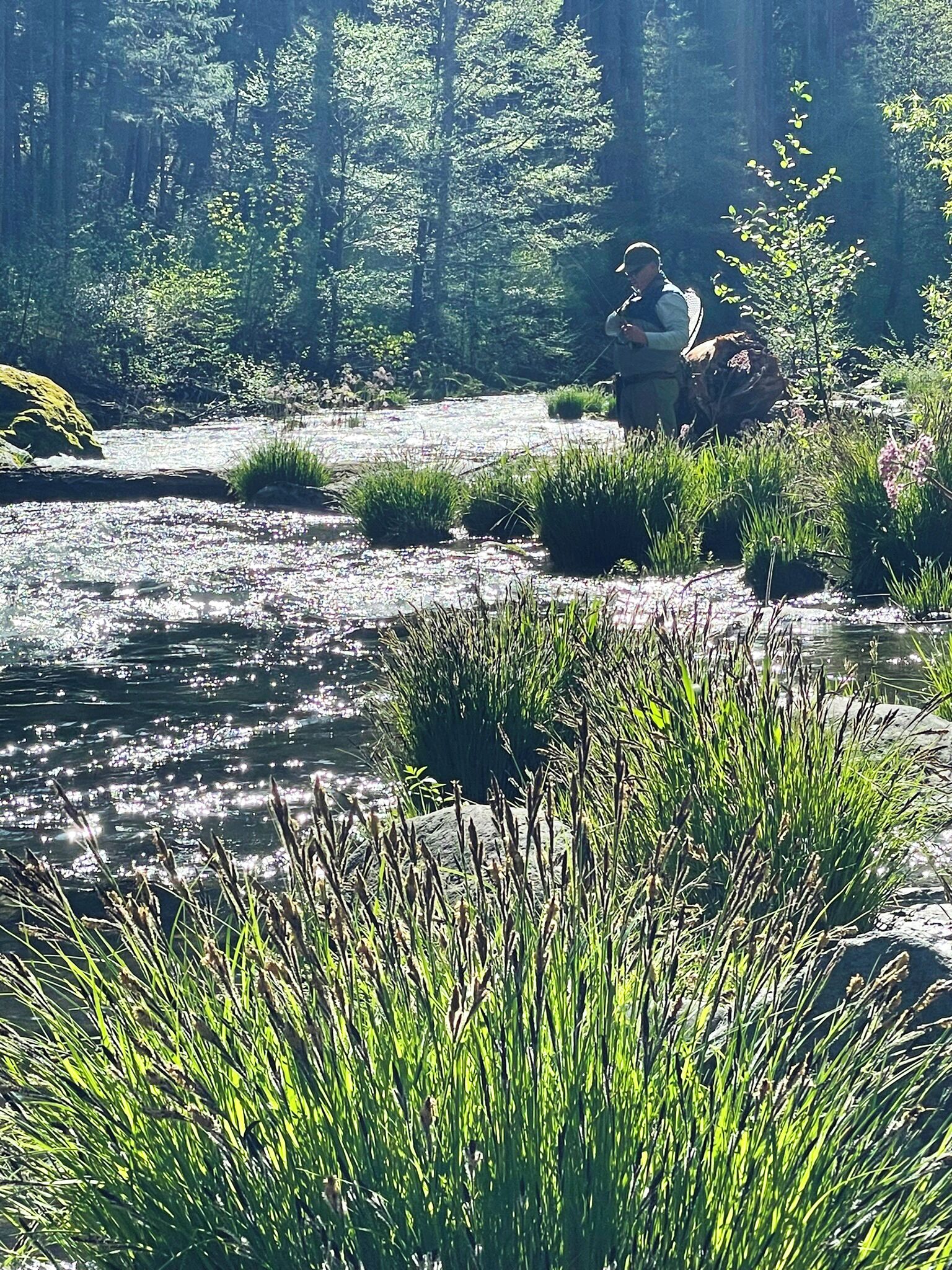 World class fly fishing on the McCloud River at Ash Camp is just 20 mins away!