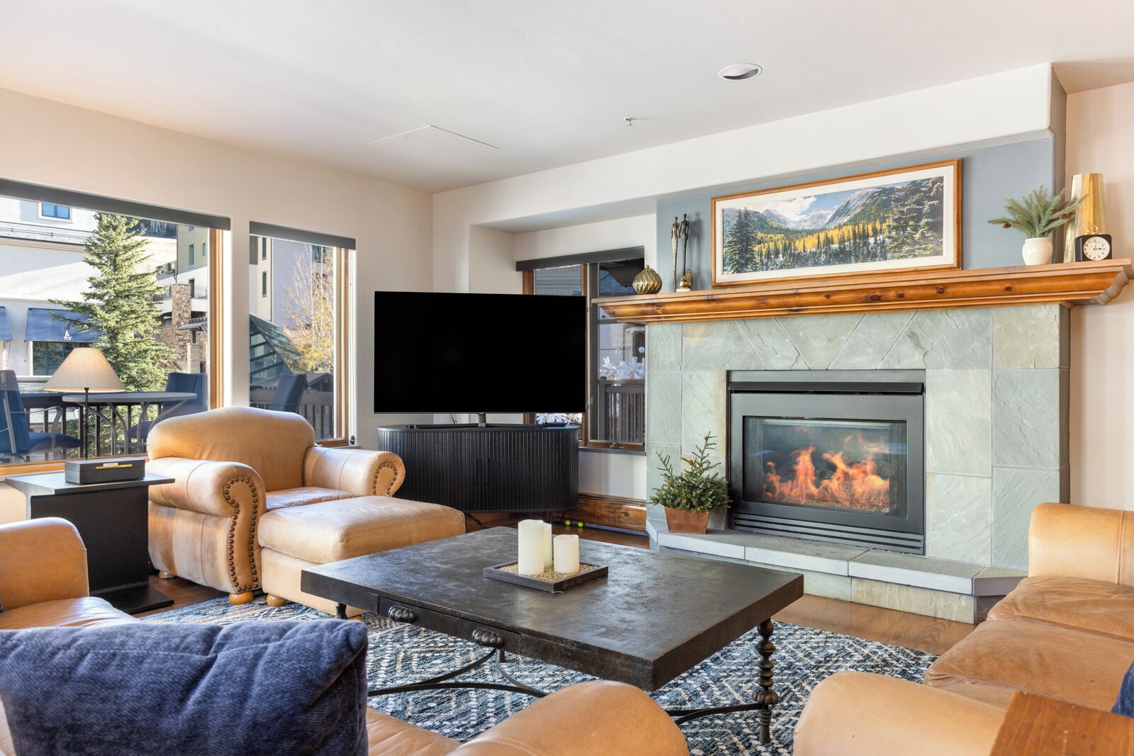 TV, fireplace, DVD player