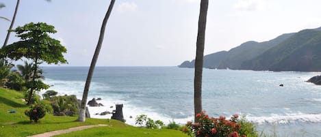 Beach/ocean view