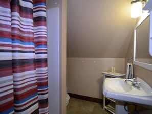 Combined shower/bathtub, hair dryer, shampoo - Margeaux`s Cottage (Crested Butte)