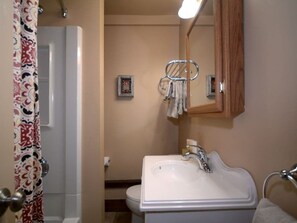 Combined shower/bathtub, hair dryer, shampoo - Margeaux`s Cottage (Crested Butte)