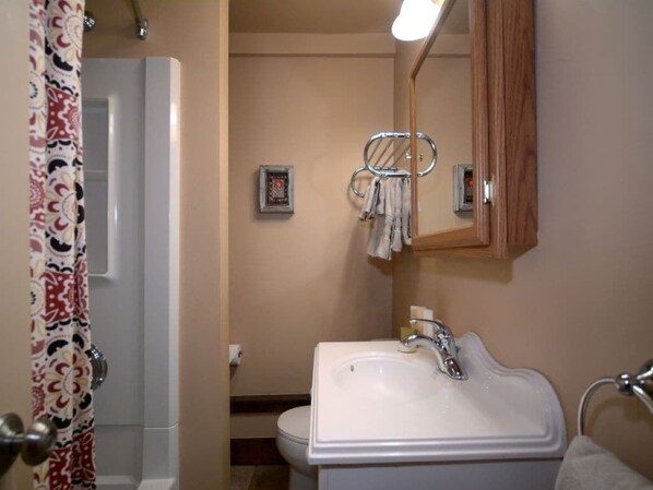 Ensemble douche/baignoire, sèche-cheveux, shampoing