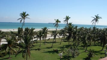 A view of a beach with palm trees and a clear sky.