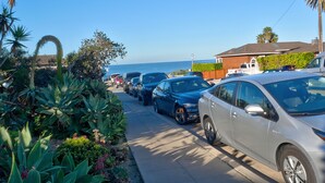 Calle bordeada por vehículos estacionados y abundante vegetación, que conduce a una zona residencial con casas y una vista despejada del océano.