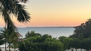 Vista de playa con palmeras, una estructura de techo de paja y sillas de descanso.