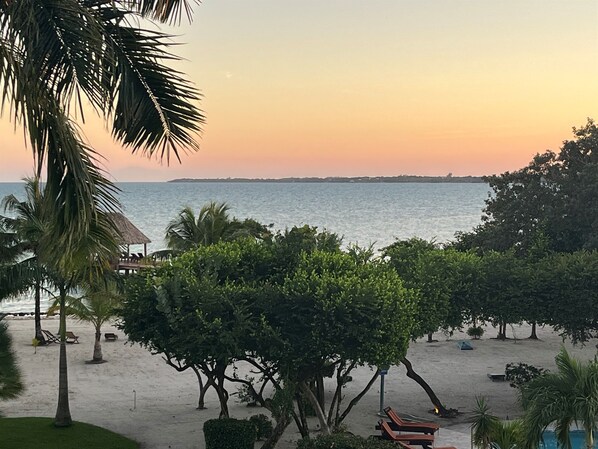 Une vue sur la plage, avec des palmiers, une structure à toit de chaume et des chaises longues.