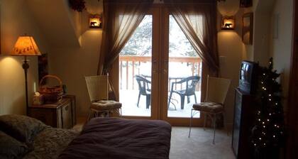 Pretty Rocky Mountain Retreat ~betw Buena Vista & Breck