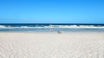 Plage, chaises longues, serviettes de plage