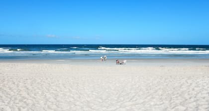 Beautiful First Floor Condo- Amelia Surf and Racquet -Oceanfront