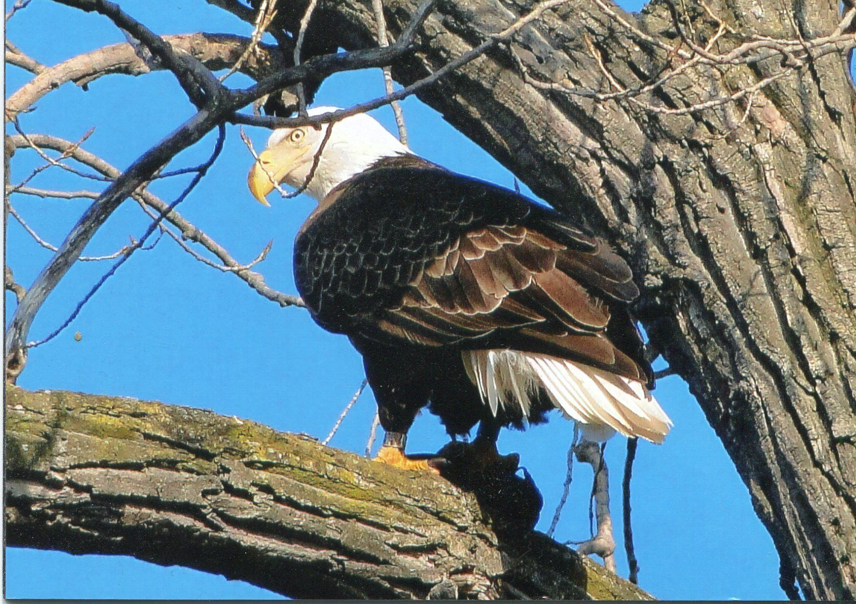 Relax and Take in the Beautiful View of Honeoye Lake