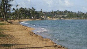 A beach with a sandy shore, palm trees, and buildings in the background. - PERFECT KAUAI Condo!! Steps from Beach/2bd2bth Washer/Dryer AC -Free Parking (Kapaa)