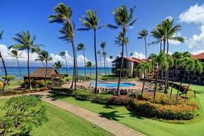 Pool - Direct Beachfront escape near Kaanapali (Lahaina)