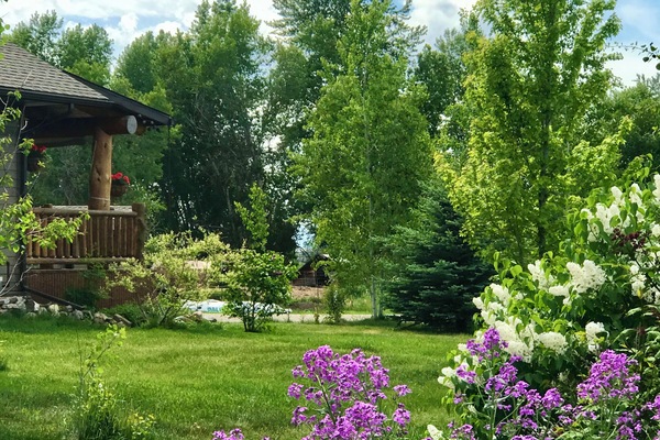 Àrea exterior de l'allotjament