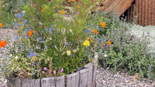 A wooden staircase leading to a cabin with a porch, surrounded by a variety of colorful flowers.