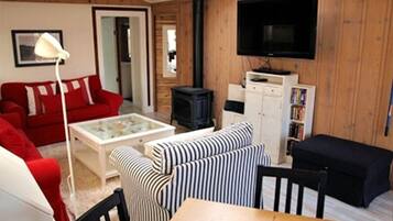 TV, fireplace, DVD player, books