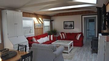 Een televisie, een open haard, een dvd-speler en boeken