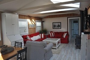 TV, fireplace, DVD player, books