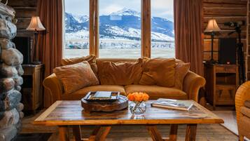 Smart TV, fireplace, DVD player, books
