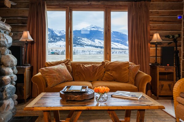 Smart TV, fireplace, DVD player, books