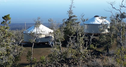 Hawaii Yurts Luxury for Less