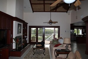 Smart TV, fireplace, DVD player, books