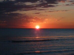 Sun loungers, beach towels - Sanibel Island Private Vacation Home - Dog Friendly (Sanibel)
