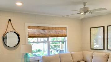 Smart TV, DVD player, books