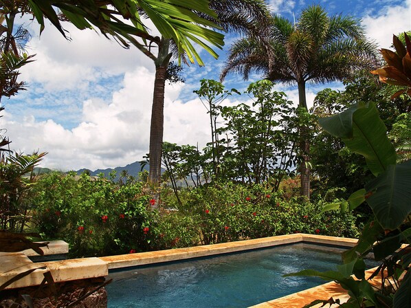 Alberca al aire libre 