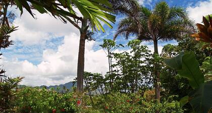 Exquisite Home in the heart of Poipu. Panoramic Views and Your Own Private Pool!