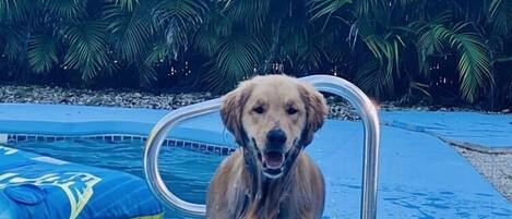 Una piscina al aire libre