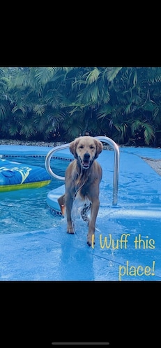 FREE KAYAKS & BIKES! Private Pool Home. Little Torch Key. Great Fishing Area.