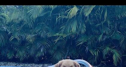 PRIVATE POOL HOME. BOATERS PARADISE…LITTLE TORCH KEY. GREAT FISHING LOBSTERING