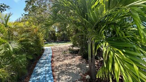 A pathway lined with lush greenery and palm trees, leading to a grassy area.