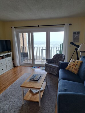 Smart TV, DVD player, books, video library