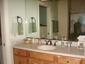 Combined shower/tub, towels, soap, toilet paper - The Most Spectacular Views in the Smokies! (Franklin)