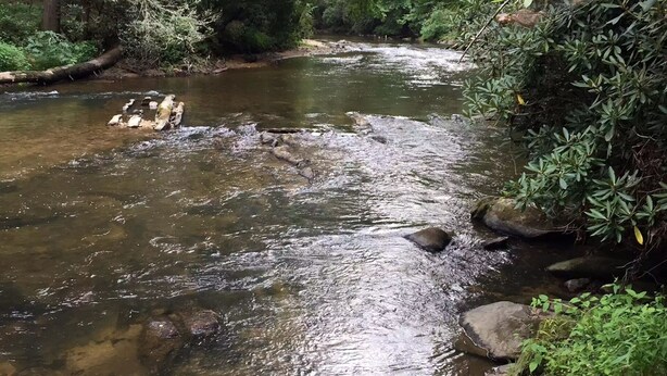 Ein Fluss fließt durch eine bewaldete Landschaft mit Felsen und Grün an den Ufern.