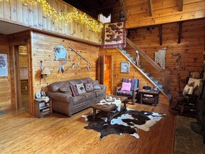 TV, fireplace, DVD player, books