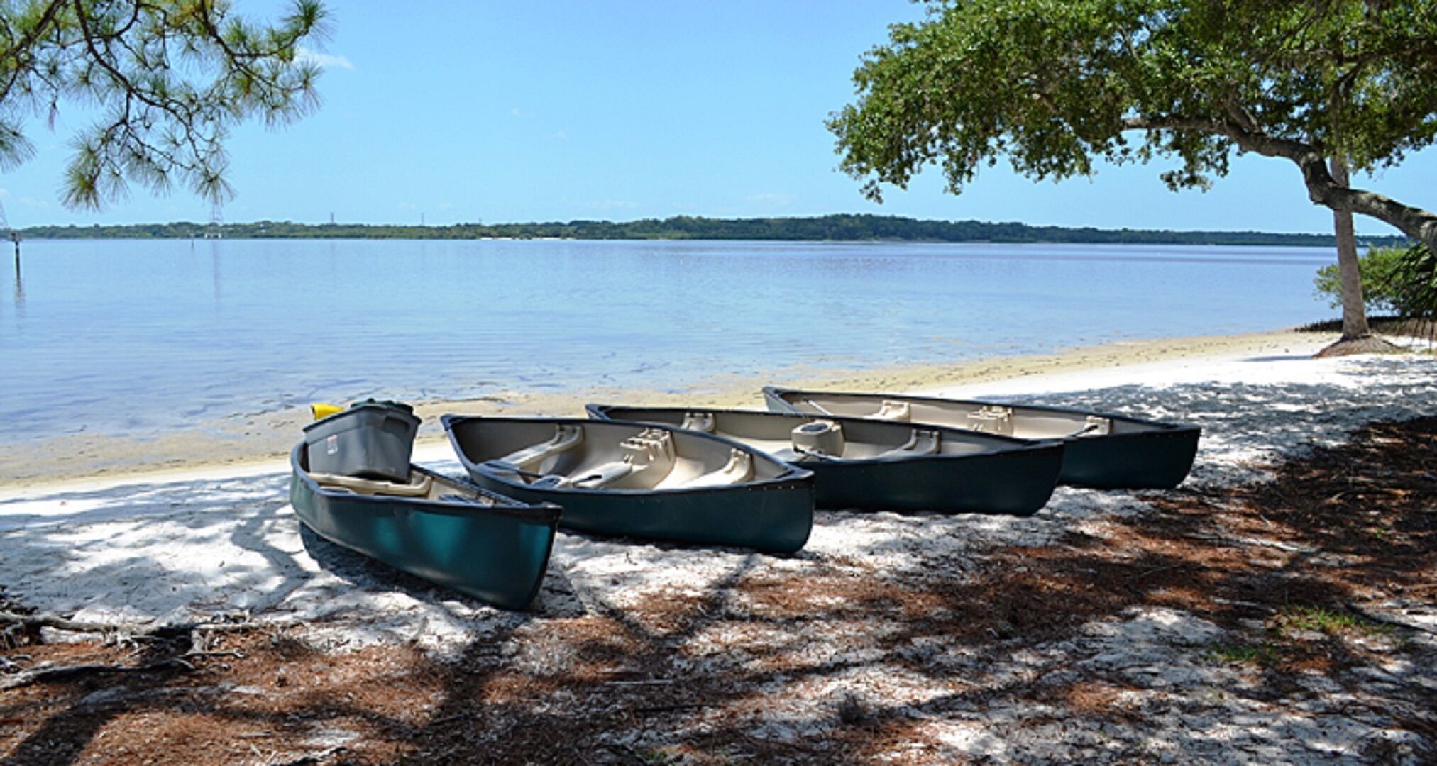 Four boats parked on a sandy beach with a tree and a calm lake in the background.