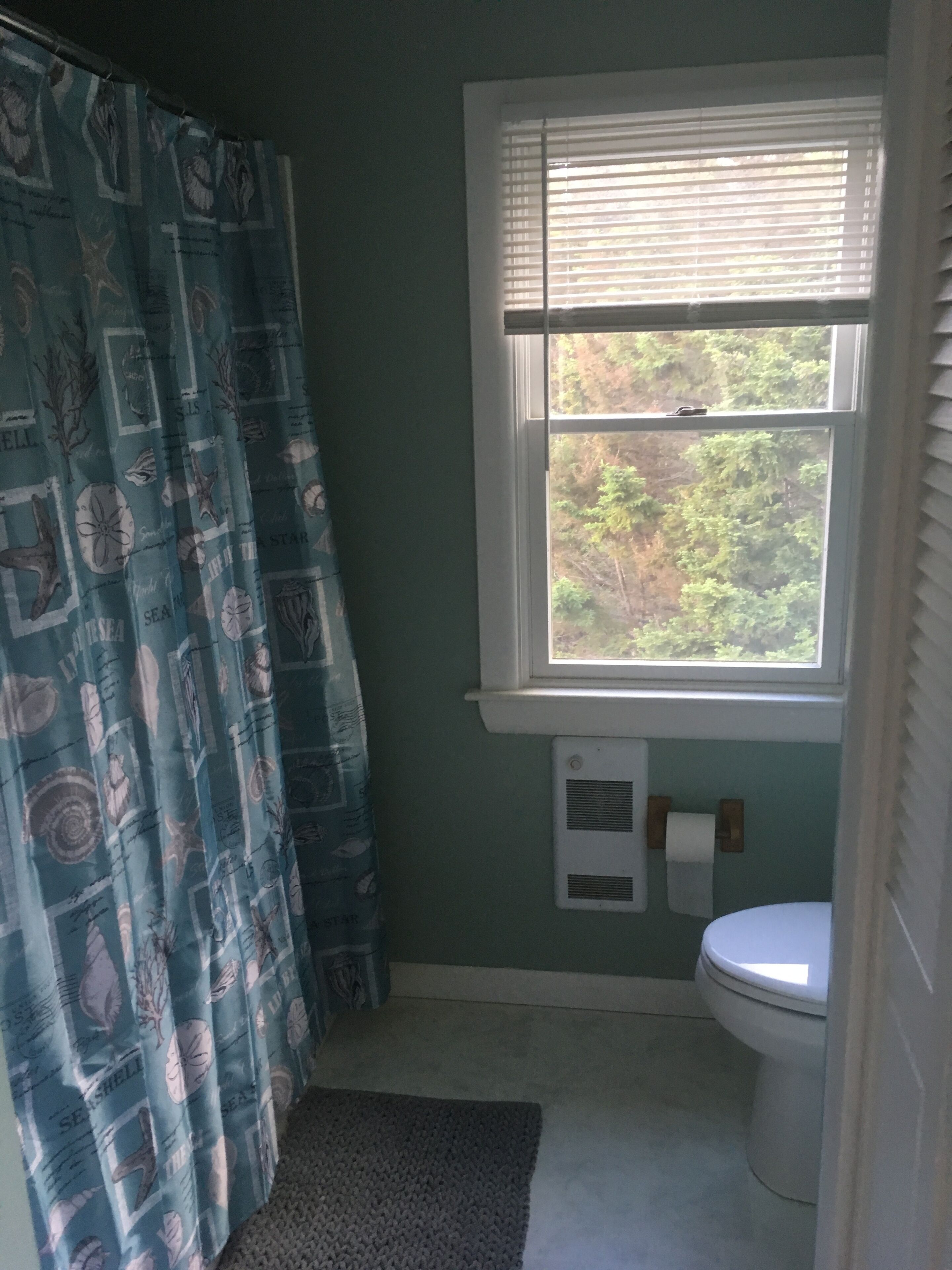 Un baño con cortina de ducha, ventana, inodoro y un perchero para toallas.