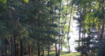 Clean, neat & attractive cottage on Michigan's most beautiful Lake