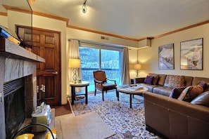 TV, fireplace, DVD player