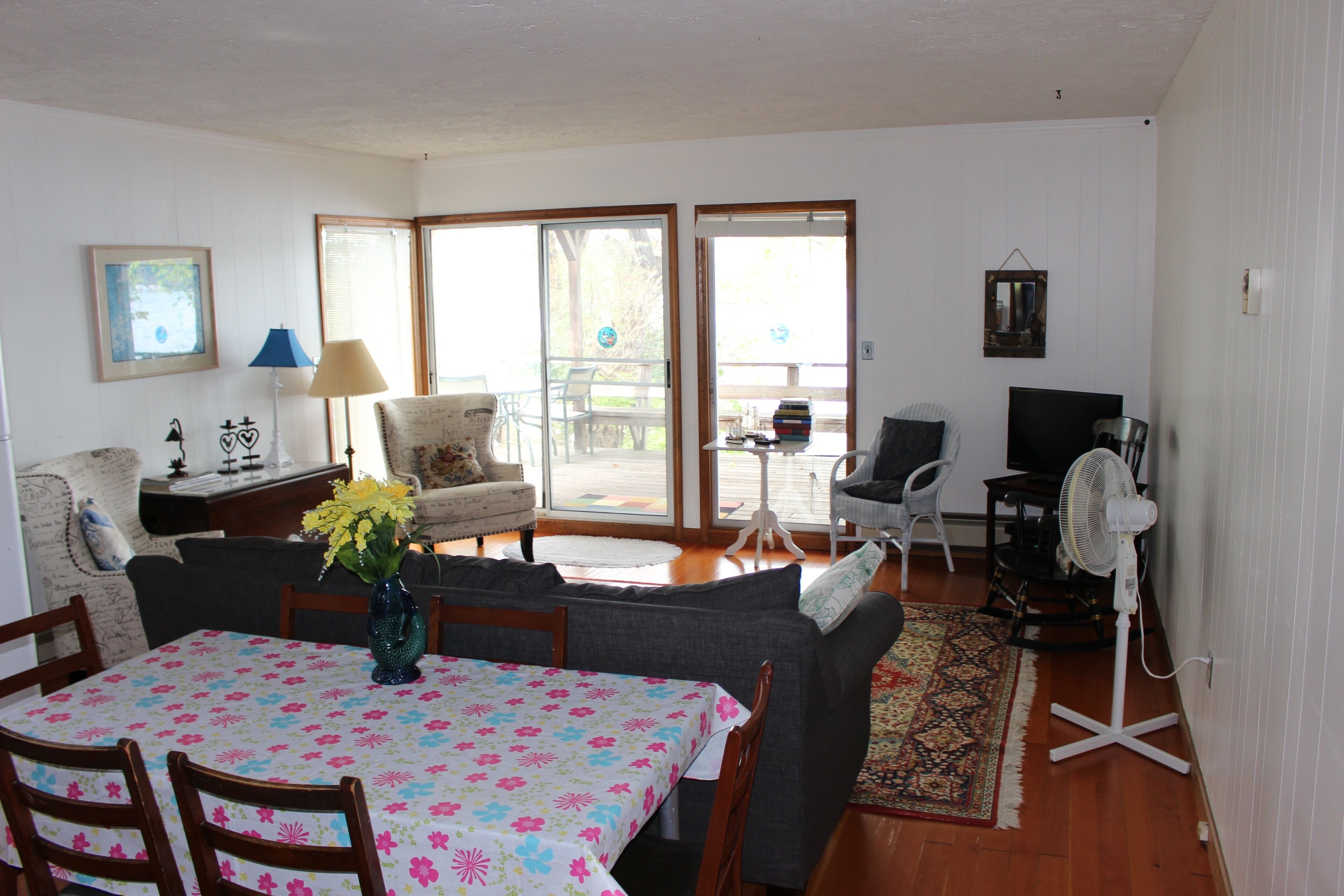 Smart TV, DVD player, books