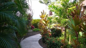 Un vialetto sinuoso che si snoda attraverso un rigoglioso giardino, ricco di piante e arbusti tropicali.