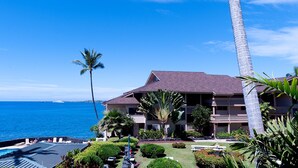 Un hotel con piscina, palme e vista sull'oceano.