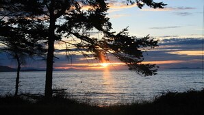 A sunset over a calm body of water with trees in the foreground.