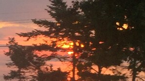A sunset over a body of water with trees and a grassy area.